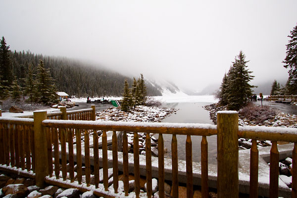 everything is covered in snow
