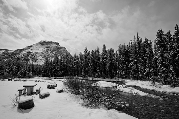 snowy banks of Mosquito Creek