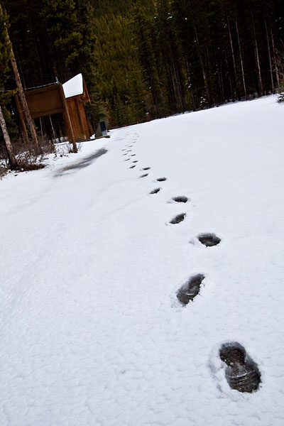 footprints in the snow