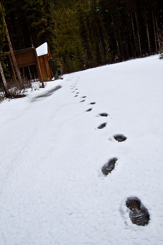 footprints in the snow