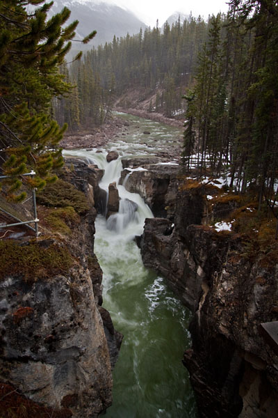 Sunwapta Falls