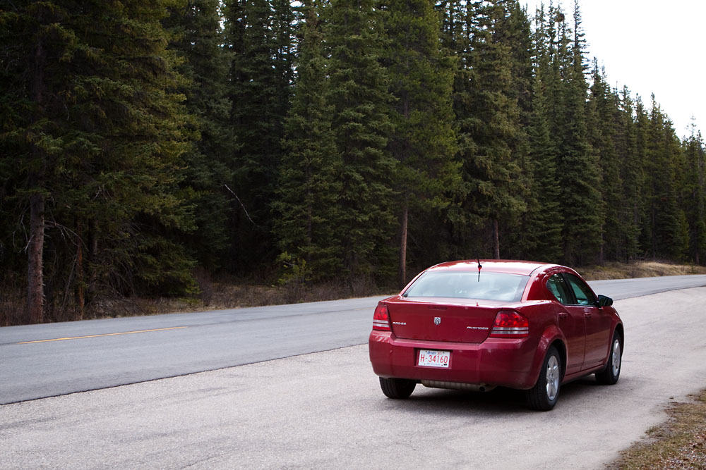 car and trees