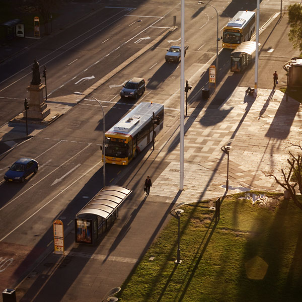 long shadows in the morning sun