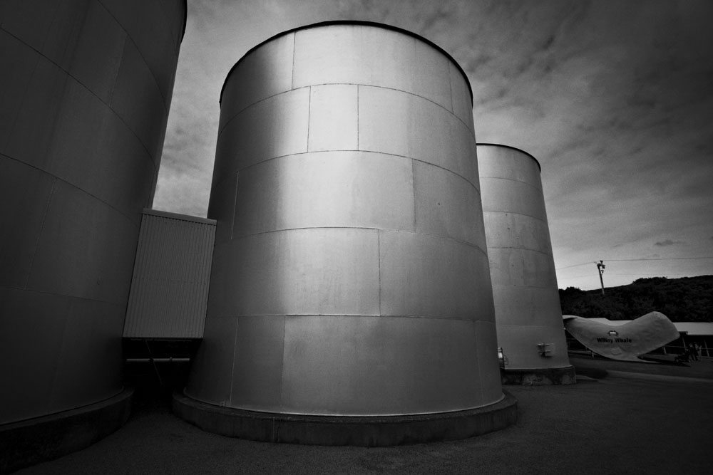 the oil tanks have been converted into movie theatres