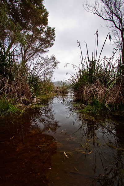 Lake Seppings