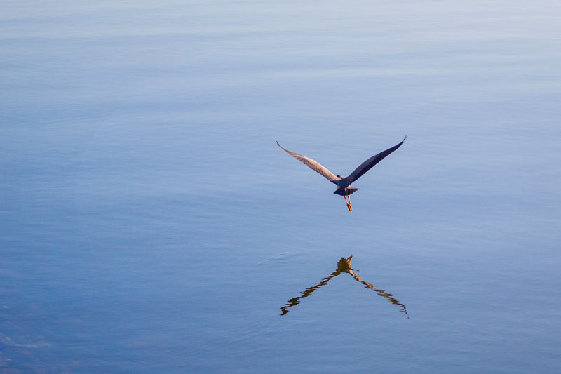 up and away