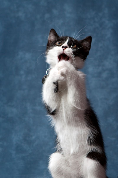 I can pray