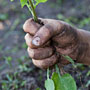 don't let the weeds get away!