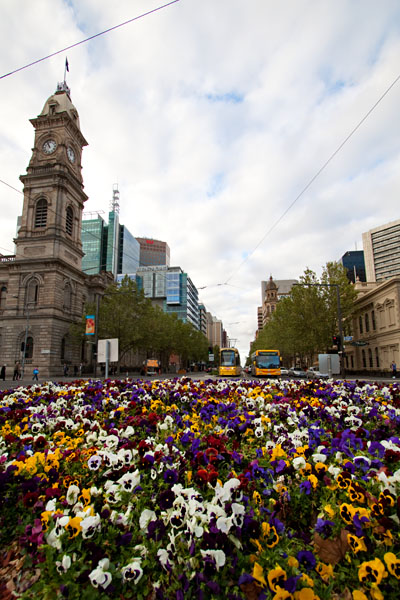 street garden