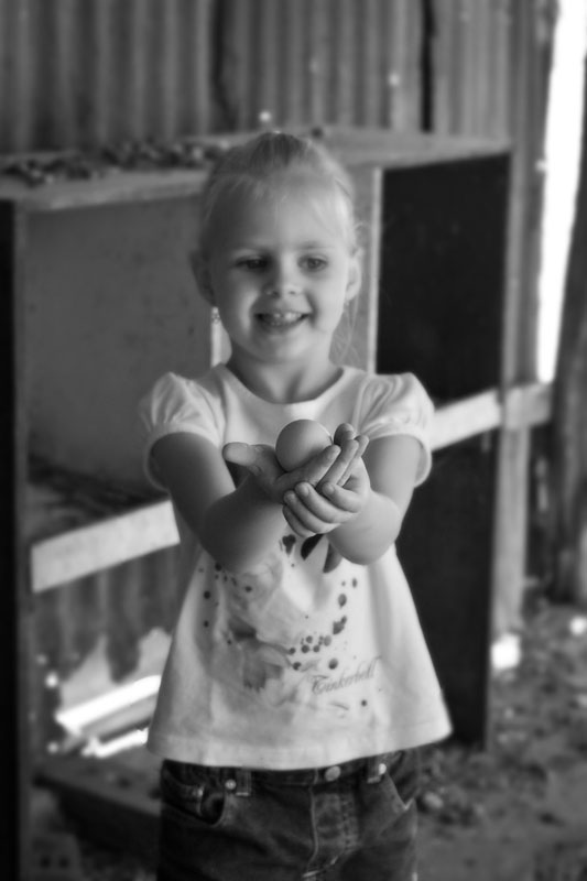 Samantha collecting the eggs