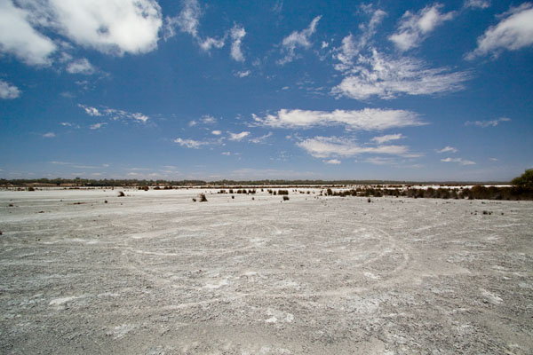 alien landscape
