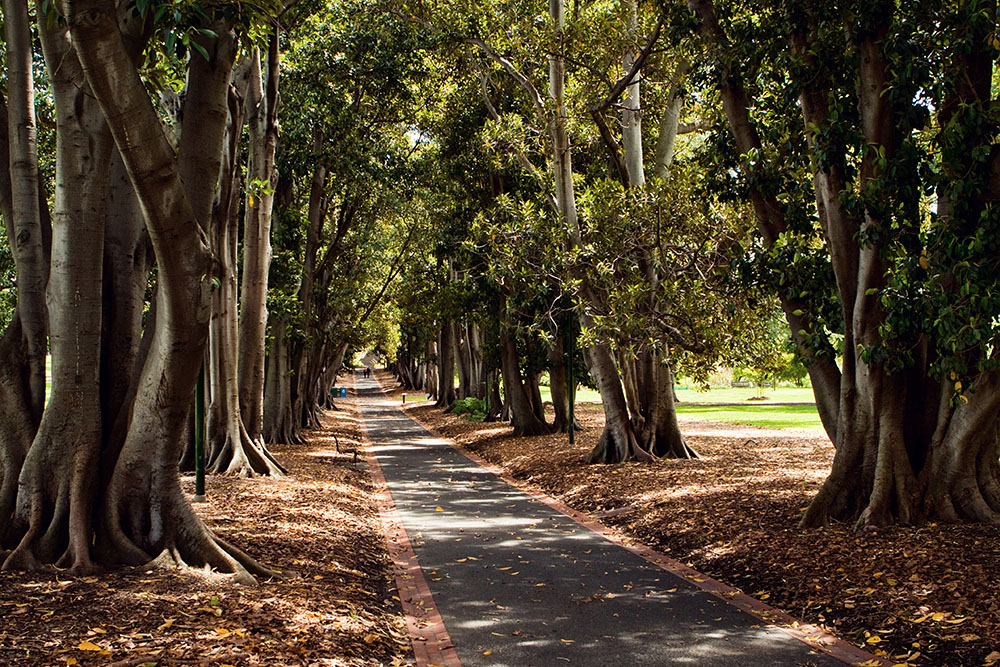 Treasury Gardens walkway