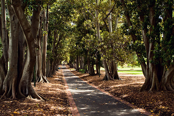 Treasury Gardens walkway