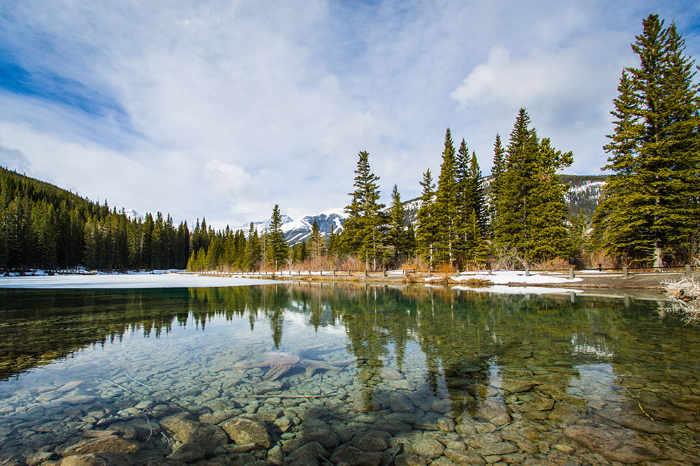 snow on Mount Lorette Ponds