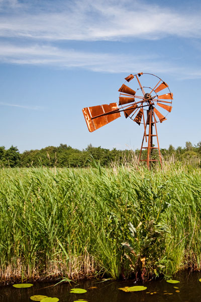 Dutch windmill in the fields