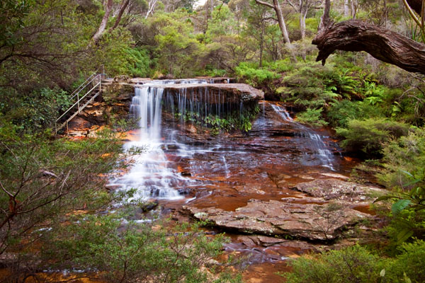 Weeping Rock