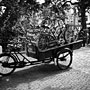 bakfiets outside a bike shop
