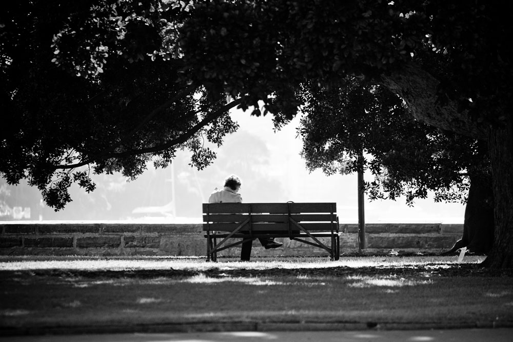 afternoon in the park