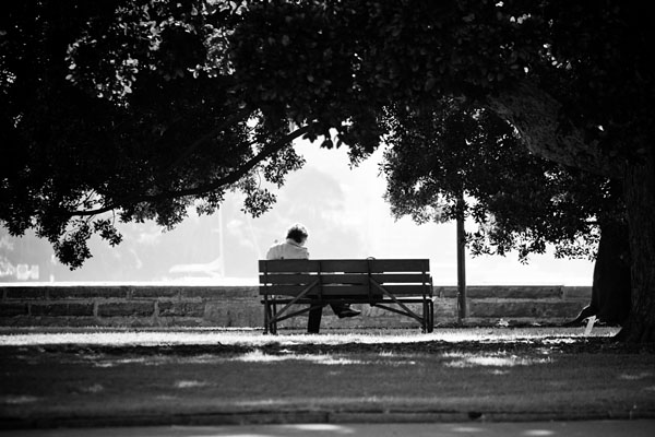 afternoon in the park