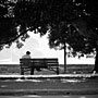 afternoon in the park
