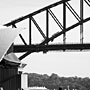 bridge walkers