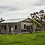 old shed