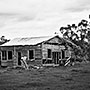old shed