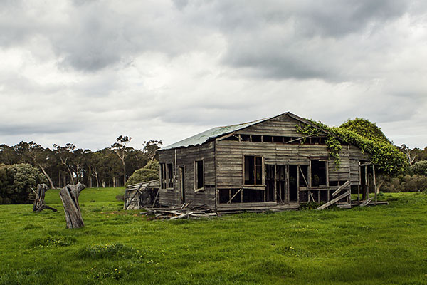 old shed II