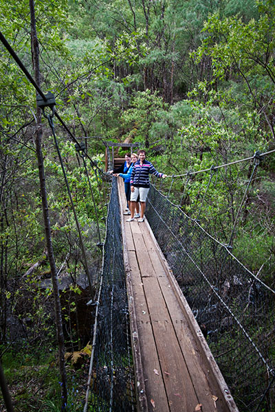 swinging bridge