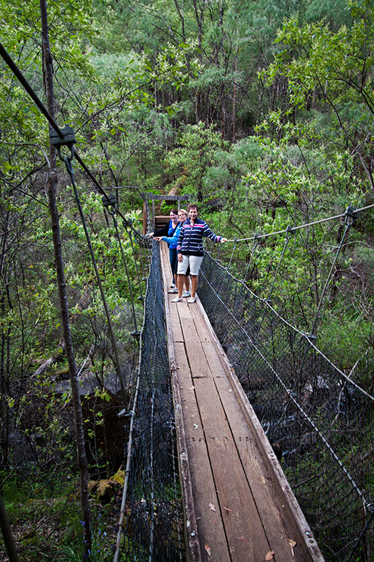swinging bridge