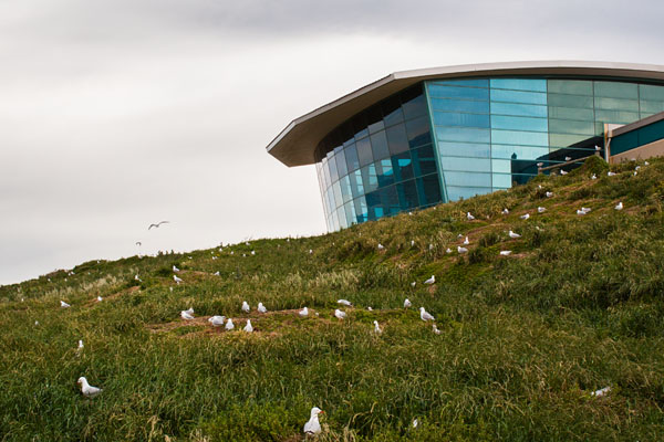 the Nobbies Centre