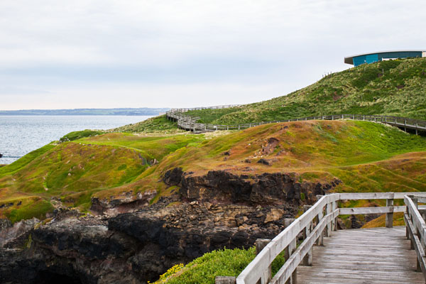 boardwalk leading to the Nobbies Centre