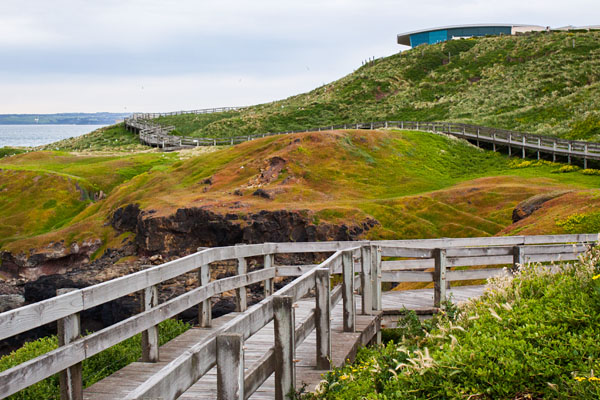 boardwalk leading to the Nobbies Centre