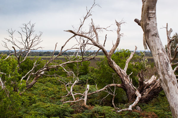 view from the lookout