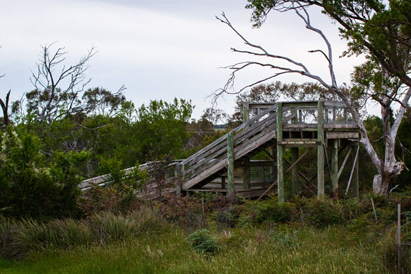 the lookout