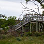 the lookout