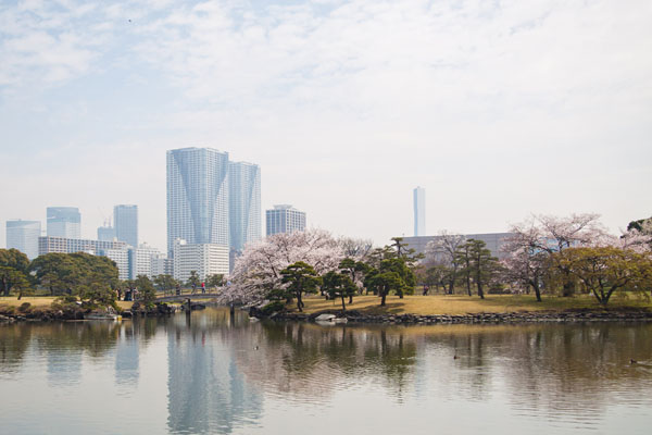 one of the lakes, with a backdrop of city buildings