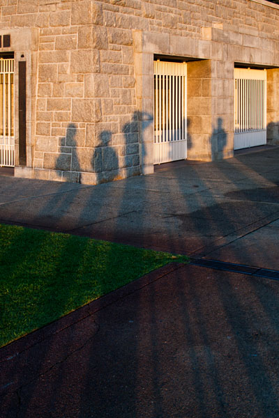 group shadows