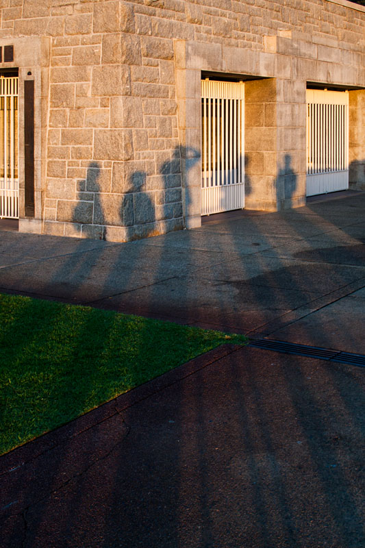 group shadows