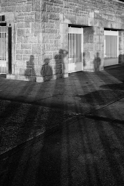 group shadows