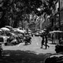 fruit markets