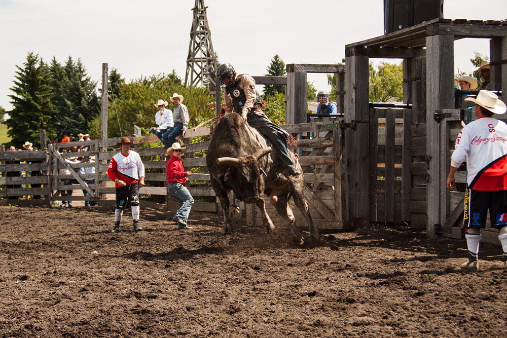 bull riding action at the rodeo