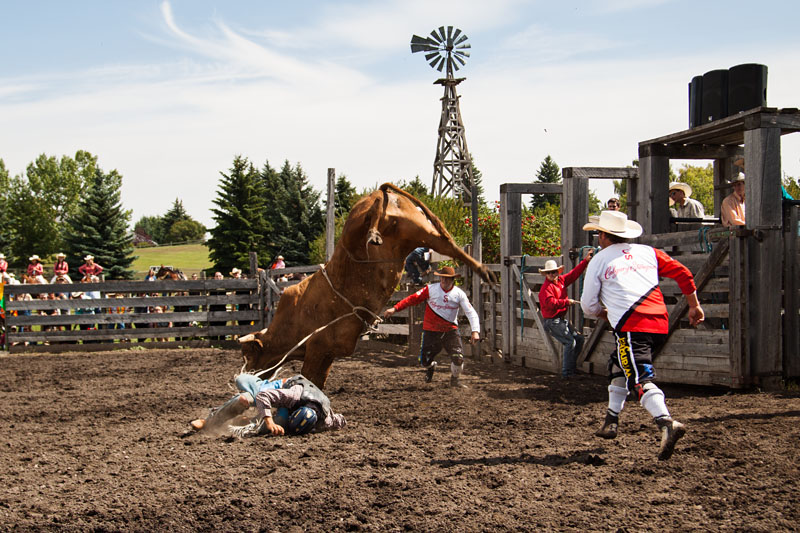 bull riding action