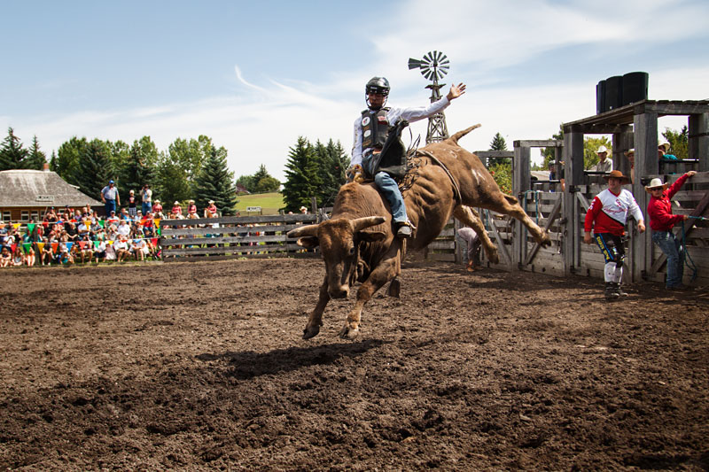 bull riding action
