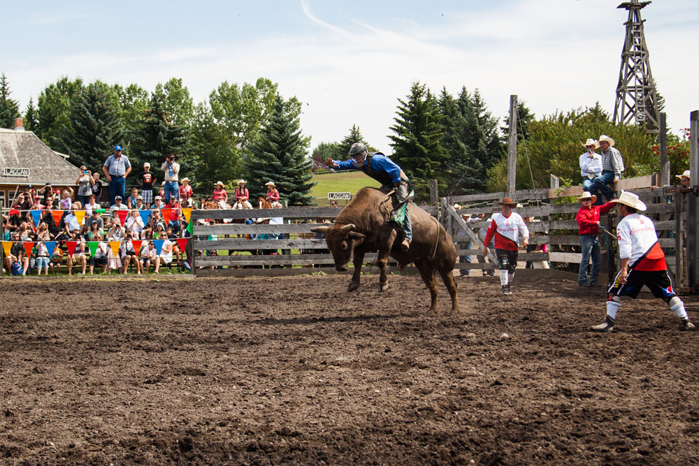 bull riding action at the rodeo