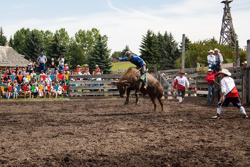 bull riding action