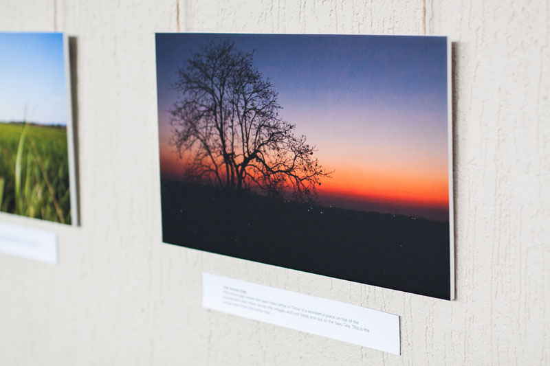 one of the mounted prints hanging on the wall