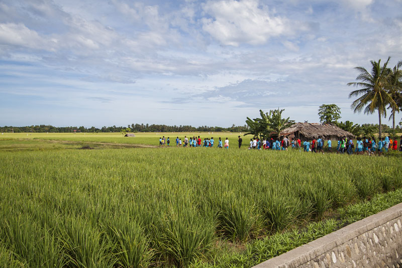 Elpida School walkathon through the rice fields