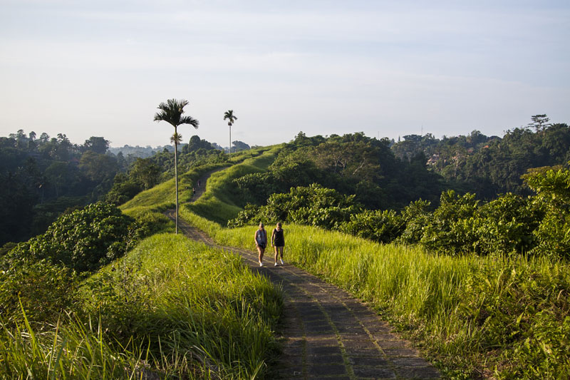 early morning at Tjampuhan Ridge