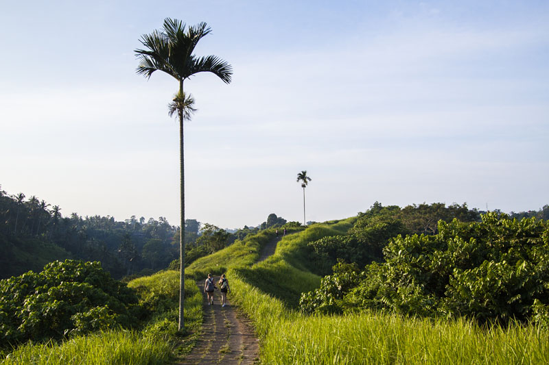 early morning at Tjampuhan Ridge